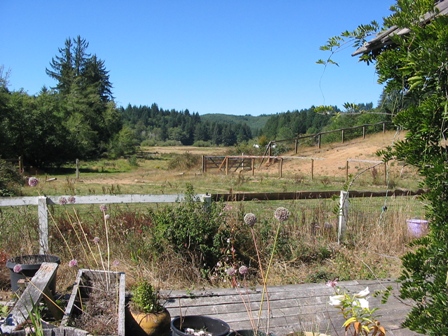 west over arena, pasture and towards the ocean